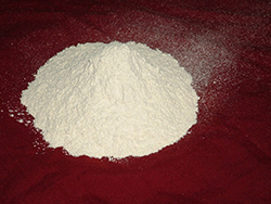White Onion Powder Manufacturer Supplier Wholesale Exporter Importer Buyer Trader Retailer in Mahuva Gujarat India